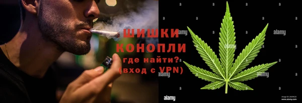 apvp Алексин