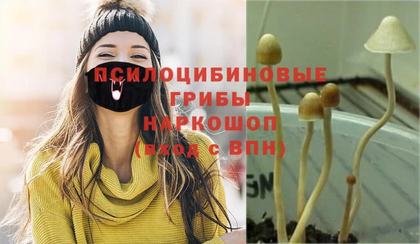 гидра Абинск
