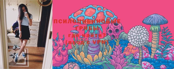 ECSTASY Алексеевка