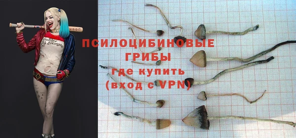 герыч Алзамай