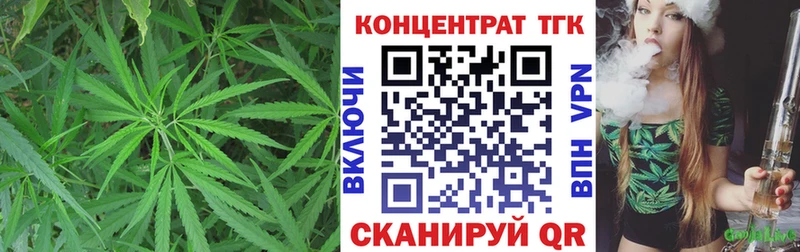 KRAKEN как зайти  Северодвинск  ТГК концентрат 