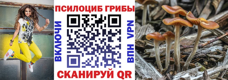 kraken зеркало  Северодвинск  Псилоцибиновые грибы Cubensis 
